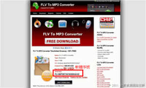 FLV To MP3 Converter 轉檔軟體，限時免費下載
