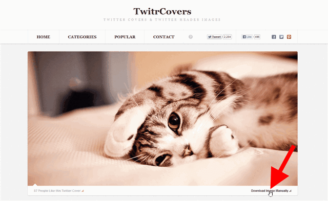 TwitrCovers：免費 Twitter、Facebook 封面相片