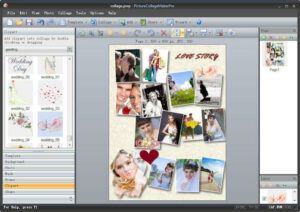 Picture Collage Maker Pro 照片拼貼軟體，快速組合美麗照片（限時免費下載）