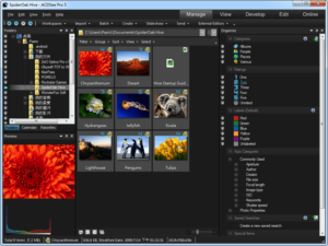 ACDSee Pro 5 專業相片編輯器、相片管理軟體，限時免費下載！