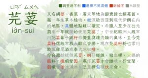 芫荽：免費開源繁體中文字型，硬筆楷書貼近教育部標準字體寫法