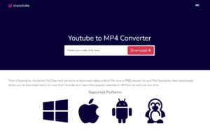 SSYouTube 將 YouTube 影片轉換為 MP4 下載，適用多種社群網站