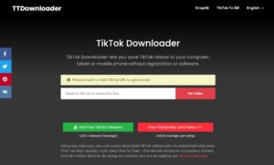 TTDownloader 使用教學：免註冊即可快速下載 TikTok 抖音影片