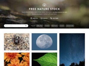 Free Nature Stock 專業攝影師打造的免費圖庫，高畫質 CC0 相片影片可商用